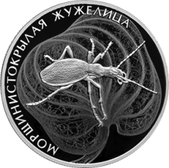 Серебряная монета 2 рубля "Морщинистокрылая жужелица" 2024 г., СПМД, 15,55 г., Ag 925
